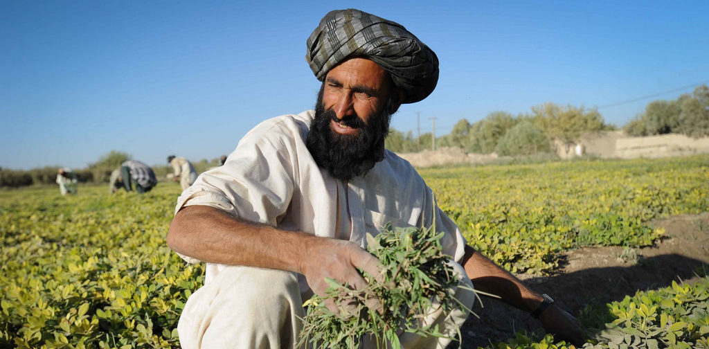 Experimental Agriculture Farm in Lashkar Gah, Helmand Province