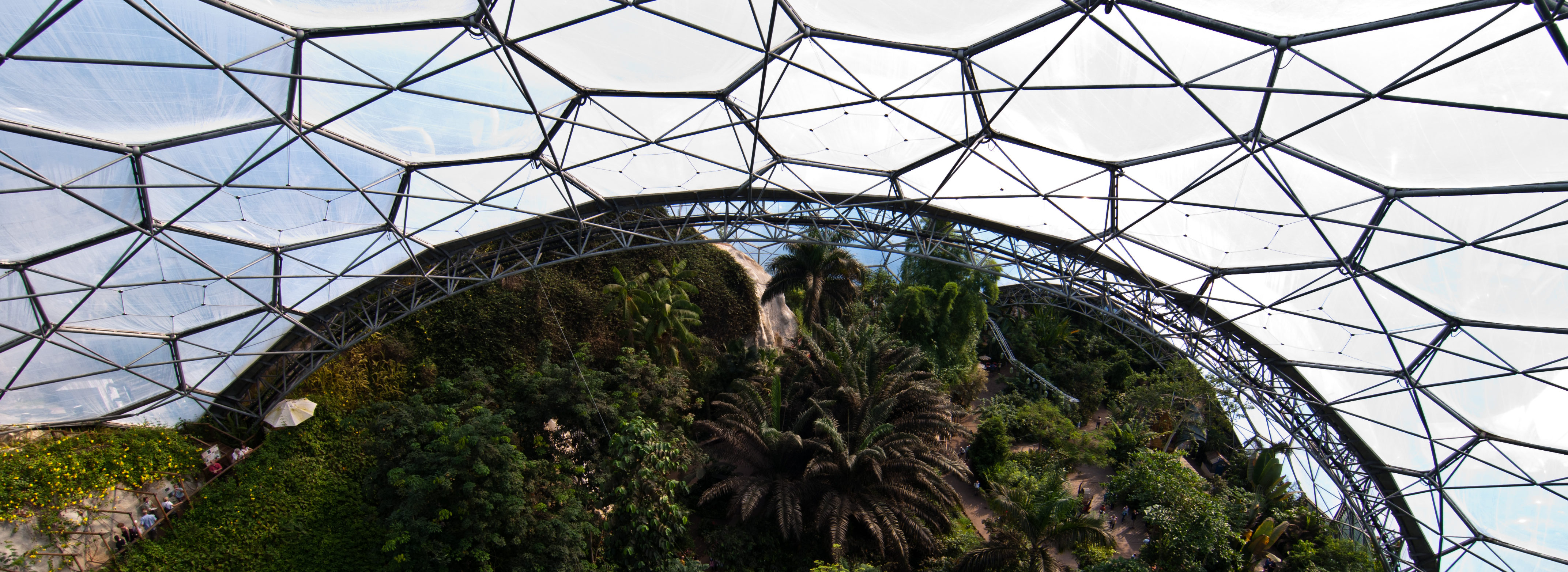 UK Climate Services booklet. Photo cred - Tim Parkinson, View from platform @ Eden Project, Cornwall